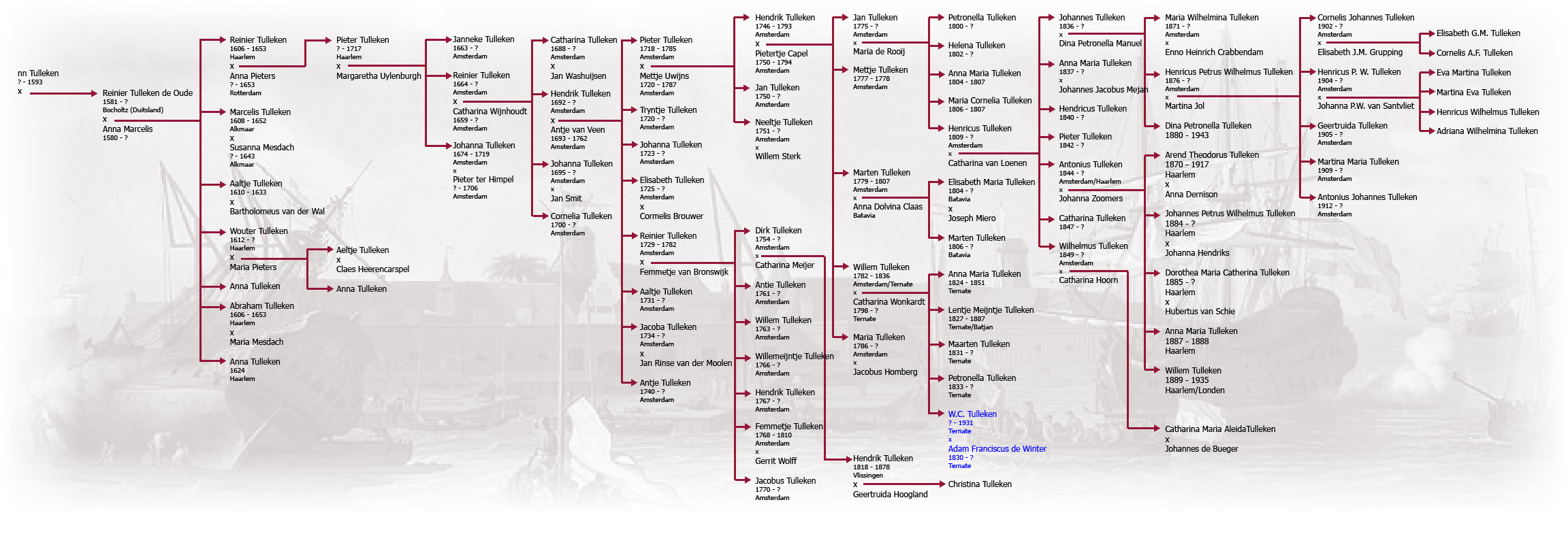 stamboom Tulleken