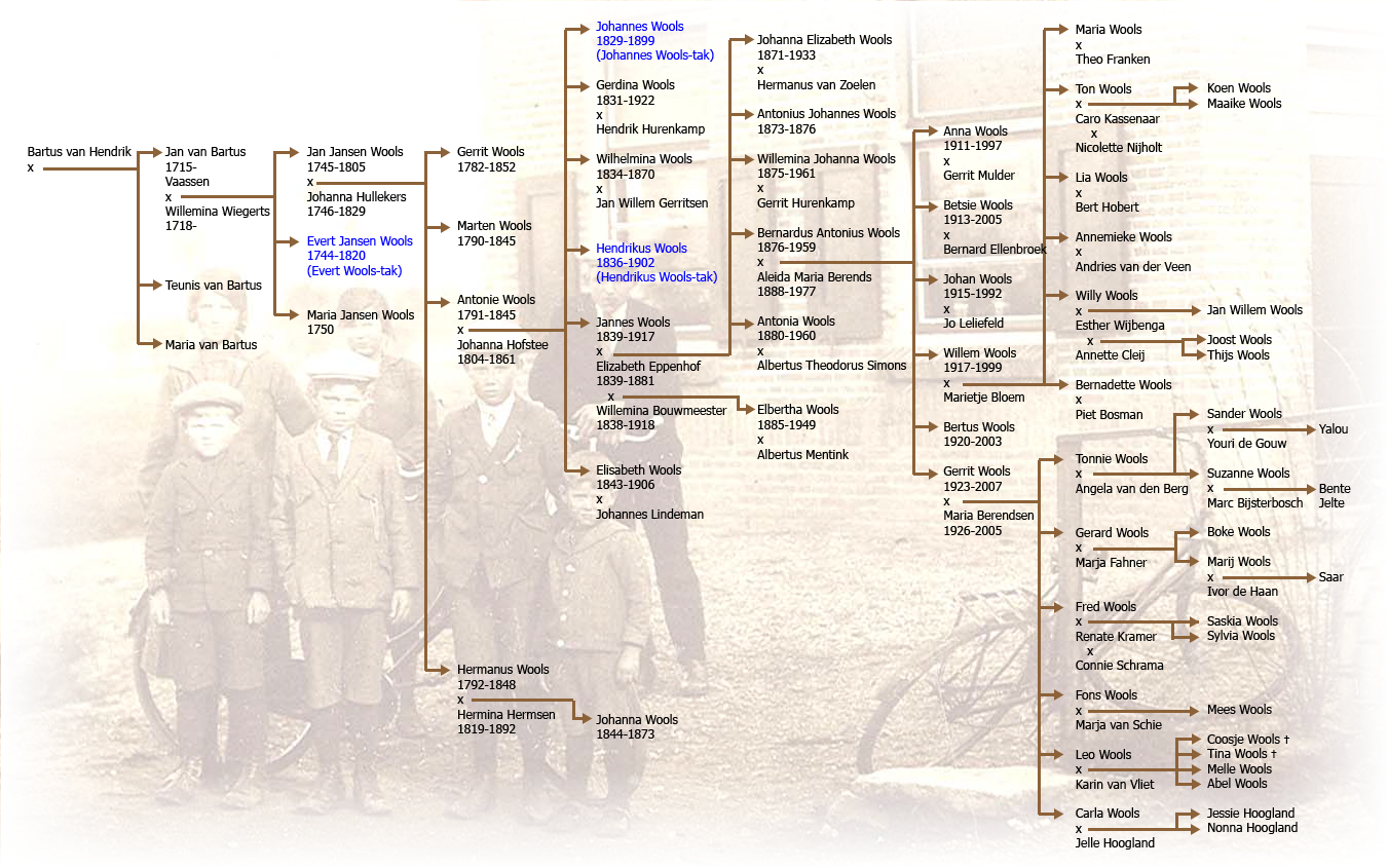 Stamboom Jannes Wools