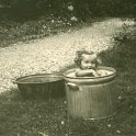 50-008