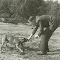 hans017